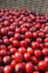 Fresh coffee bean in basket
