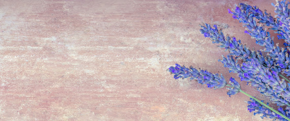 Summertime - lavender flowers. Bunch of lavender flowers on ocher red rustic background.