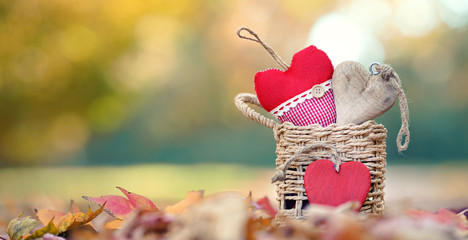 buntes Körbchen im Herbst im Park