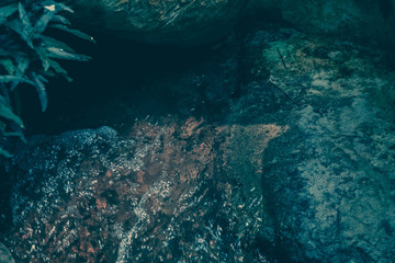 Fototapeta na wymiar Stones in Water; Nature Background