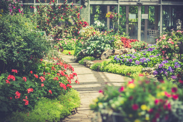Fototapeta na wymiar Path way in flower garden.