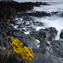 strong surf on the Hawaiian coast