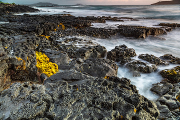 slow water and a spot of yellow 