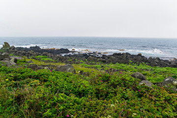 利尻島の沓形岬公園