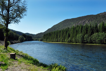 Fototapeta na wymiar Riverbed of the mountain river between the green forest banks of Norway