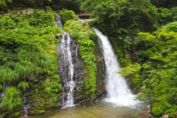 Fototapeta na wymiar 【山形県 日本の観光名所】白銀の滝