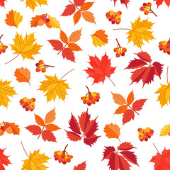 Fototapeta na wymiar Bright autumn seamless pattern on white background