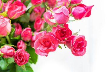 Close up of red rose bouquet in the vase