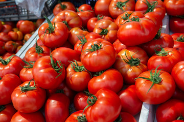 Fresh raw ripe tomatoes sold on outdoor market. Farm seasonal spanish fruits and vegetables