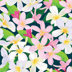 Seamless tropical plumeria flowers and leaves background. Vector set of exotic tropical floral for wedding invitations and greeting card design.