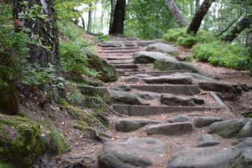 Wanderweg sächsische Schweiz