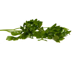parsley isolated on white background