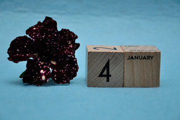 4 January on wooden blocks with a purple petunia on a blue background