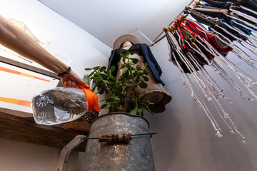 Woman watering plant in fashion boutique. A low angle view of a shop worker watering a succulent in a rustic metal bucket. Eco-friendly store with handcrafted reusable products and natural decoration.