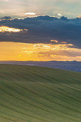 Looking out over farmland in the South Downs, at sunset