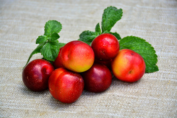 Ripe juicy plum with mint leaves	