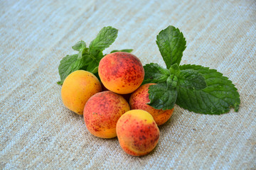 Ripe juicy apricot with mint leaves