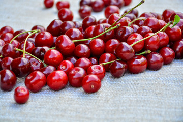 Closeup of a bunch of wet ripe cherry farm