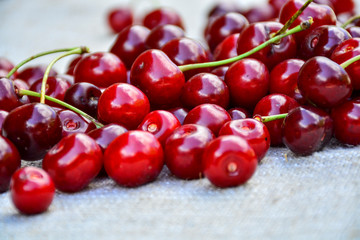 Closeup of a bunch of wet ripe cherry farm