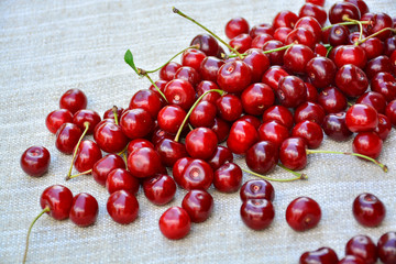 Closeup of a bunch of wet ripe cherry farm