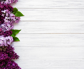 Lilac spring flower border