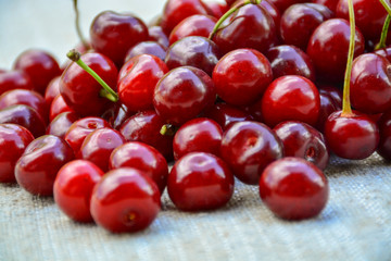 Closeup of a bunch of wet ripe cherry farm.