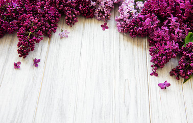 Lilac spring flower border