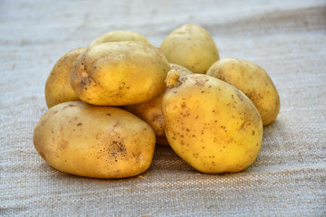 New potato, new crop, isolated.