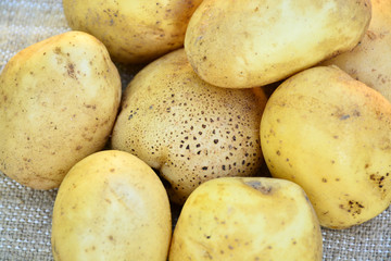 New potato, new crop, isolated.