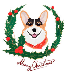 Red-haired dog Welsh Corgi with red bandage and holly Christmas wreath. New Year composition of green leaves and holly berries. Lettering Merry Christmas. Isolated vector hand draw illustration.