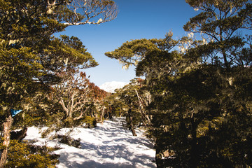 autumn in the mountains