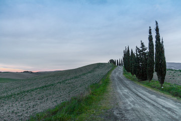 Spectacular nature: Sunrise in the Tuscan countryside in autumn