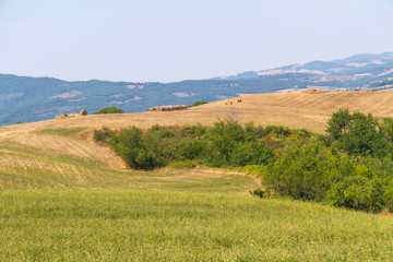Obraz premium wonderful hilly landscape of the Tuscan countryside