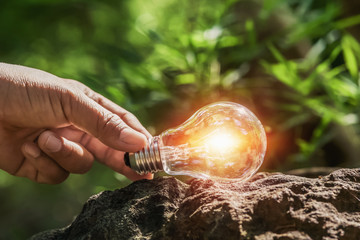 hand holding light bulb on rock in forest with sunshine. concept clean energy