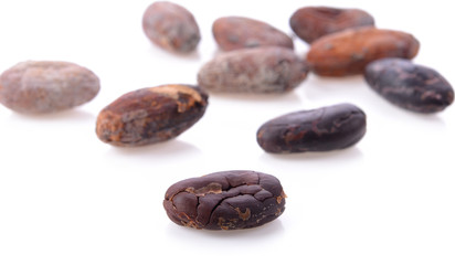 cocoa beans on white background