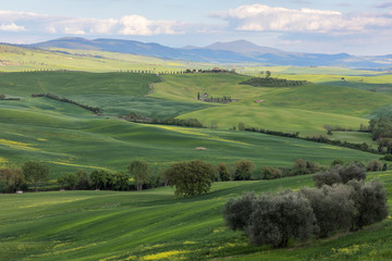 Obraz premium Pienza in der Toskana - Stadt Land Kunst