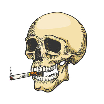Skull smoking cigarette color sketch engraving vector illustration. Scratch board style imitation. Black and white hand drawn image.