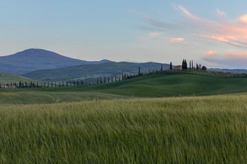 Fototapeta premium Geheimtip in der südlichen Toskana - San Quirico d'Orcia