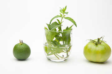 Fruta verde, naranja verde, menta y tomate verde, tres tonalidades de verde distintos. Color verde