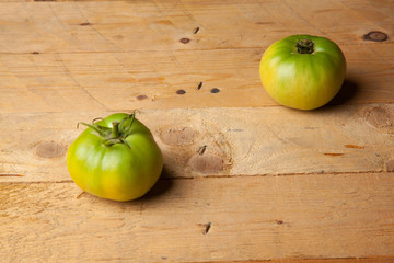 Tomates verdes, recién cogidos de la mata. Tomate ecológico