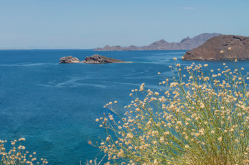 Seascape of Bahia Danzante, or Dancer Bay in LORETO, Baja California Sur. MEXICO