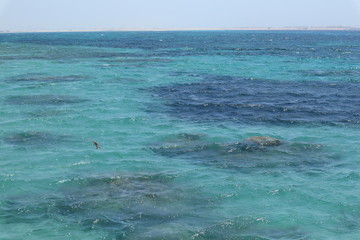 türkis blaues Wasser vom Roten Meer