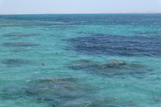 t&uuml;rkis blaues Wasser vom Roten Meer