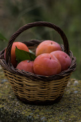 cesta fruta