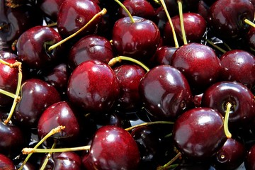 purple fruits of sweet cherry fruit
