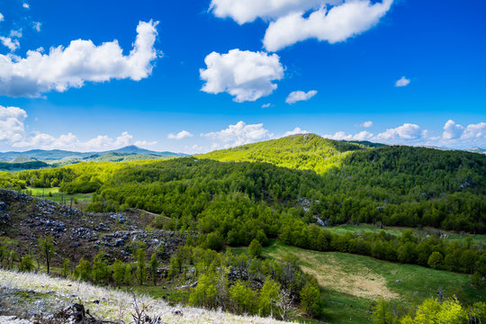 Montenegro, Endless wide green nature landscape of trees covering hills and rocks of country scenery near savnik with blue sky