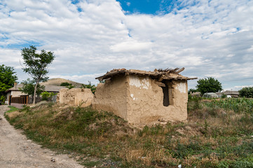 Fototapeta na wymiar Old traditional house left in ruin with cob walls and a fallen reed roof and vegetation grown inside in a Romanian village. 