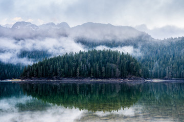 Montenegro, Trees of durmitor conifer forest nature landscape reflected in glassy silent water of black lake in national park near zabljak