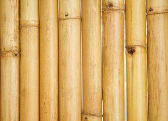 Brown bamboo fence background. Bamboo texture