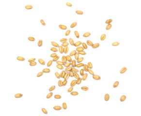 Wheat kernels, grains pile isolated on white background, top view